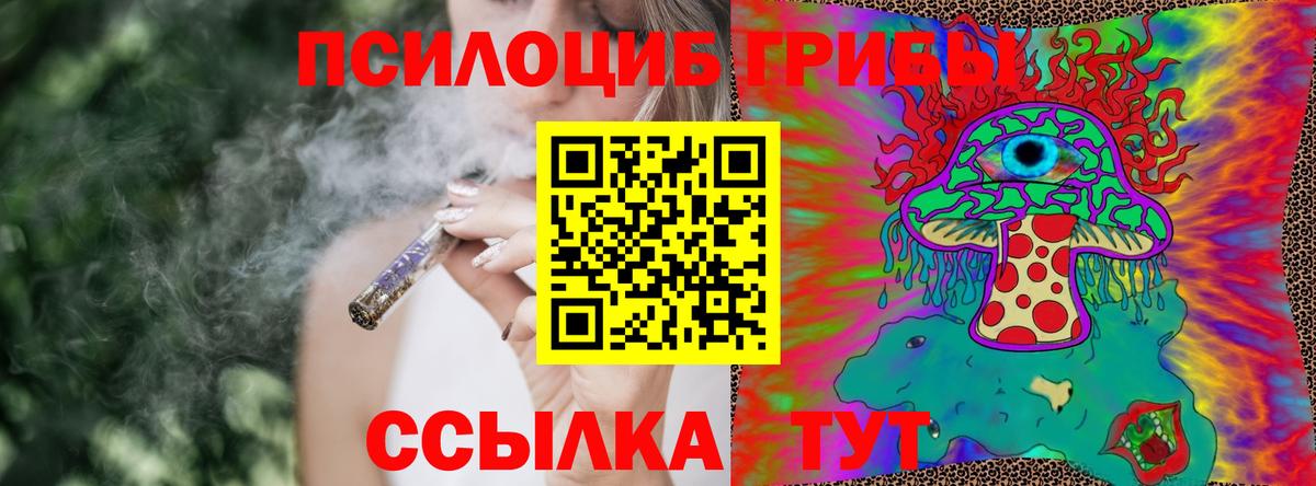 Псилоцибиновые грибы Psilocybe Назрань
